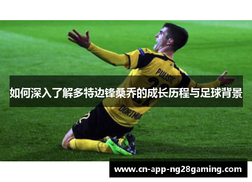 如何深入了解多特边锋桑乔的成长历程与足球背景