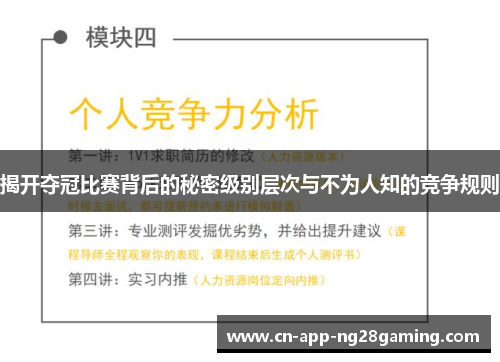 揭开夺冠比赛背后的秘密级别层次与不为人知的竞争规则