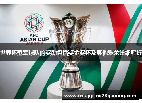 世界杯冠军球队的奖励包括奖金奖杯及其他殊荣详细解析
