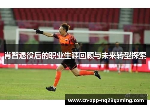 肖智退役后的职业生涯回顾与未来转型探索