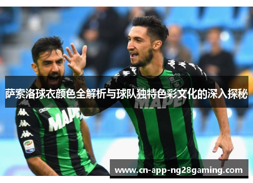 萨索洛球衣颜色全解析与球队独特色彩文化的深入探秘