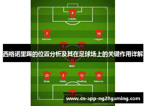 西格诺里踢的位置分析及其在足球场上的关键作用详解