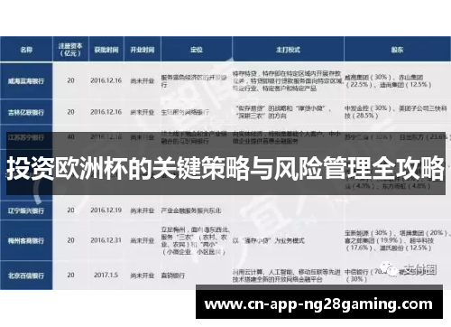 投资欧洲杯的关键策略与风险管理全攻略
