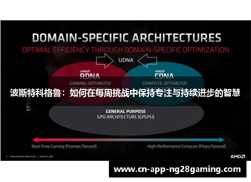 波斯特科格鲁：如何在每周挑战中保持专注与持续进步的智慧